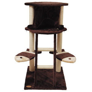 �L�̂������у|�[�� �����c�w